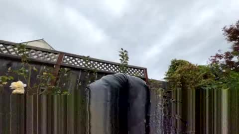 coronelking online show from September 28, 10:30 pm