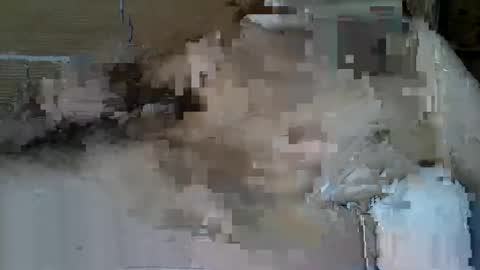 Corrado online show from September 18, 1:35 pm