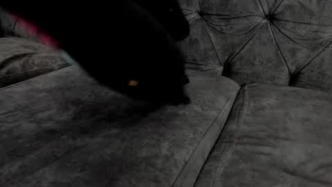 Snapshot of cristian_suarezz_ chatting on October 6, 11:42 pm cristian_suarezz_ online show from October 6, 11:42 pm