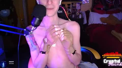 CryptidTwink online show from March 27, 6:39 am