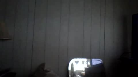 d1d_u_m1ss_1t online show from September 21, 11:54 am