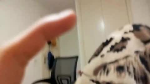 dabgztx online show from January 21, 12:35 pm