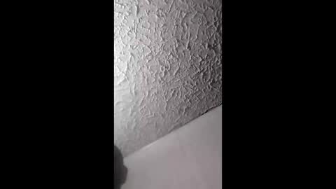 daddy_hook online show from March 28, 12:00 am