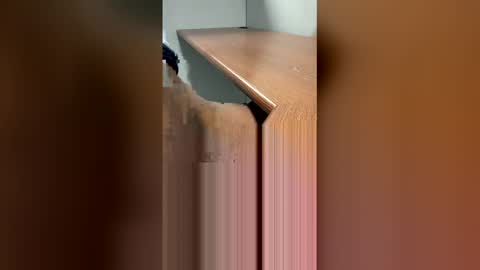 DaddyLeeBBC online show from March 20, 2:59 am