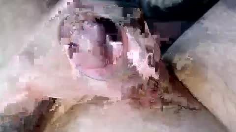 dadyscam online show from December 3, 8:03 am