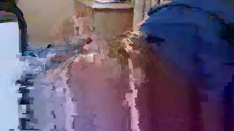 dafo1980 online show from April 16, 1:22 pm