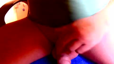 Dammerl online show from December 30, 8:43 am