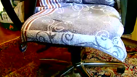 Dammerl online show from January 23, 1:24 pm