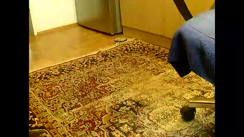 Dammerl online show from December 5, 7:16 am