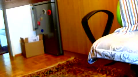 Dammerl online show from February 3, 7:40 am