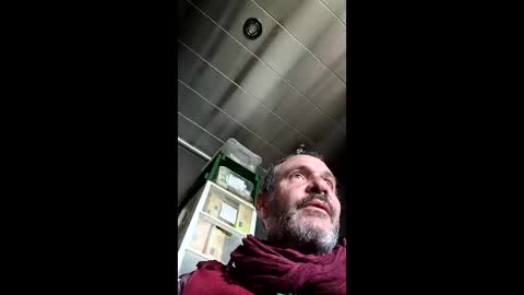 dangermousey005 online show from May 14, 10:02 am
