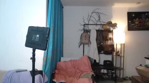 dani_brown19 online show from June 18, 5:31 am
