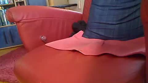 daniel_boone769453 online show from March 24, 4:34 pm