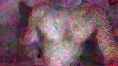 Buzzy online show from November 17, 6:49 am