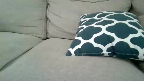 dannyboy621 online show from February 24, 9:32 am