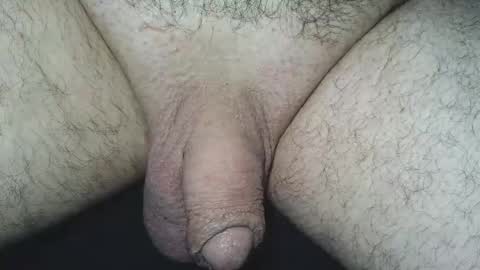 dapppper online show from May 21, 10:31 am