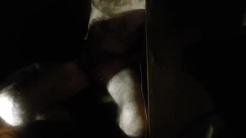 Snapshot of dario48 chatting on December 13, 4:43 am dario48 online show from December 13, 4:43 am
