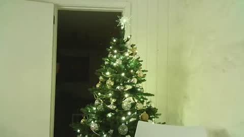 Dario online show from December 25, 7:56 pm