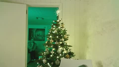 Dario online show from January 3, 4:06 pm