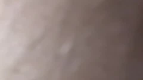 LilRoach online show from February 10, 2:48 pm