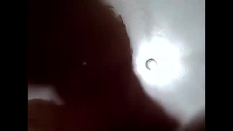 dicdumbthomas29654 online show from November 10, 7:46 am