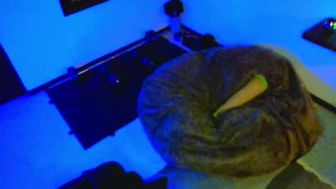 Damin online show from December 8, 6:06 pm