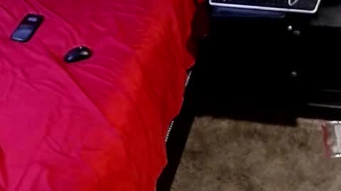 Sparkx online show from September 28, 5:05 am