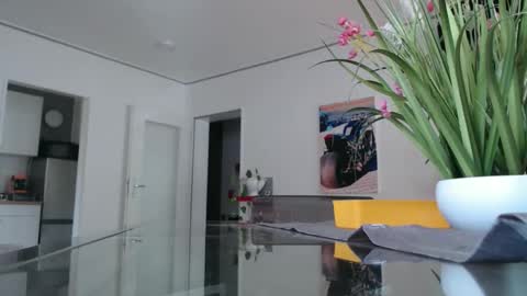 Snapshot of didiegal chatting on October 24, 10:50 am squirtcock online show from October 24, 10:50 am