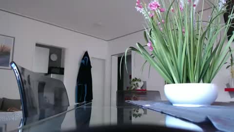 Snapshot of didiegal chatting on December 20, 11:00 am squirtcock online show from December 20, 11:00 am