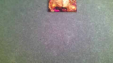 dimasvit5336 online show from February 17, 9:08 am