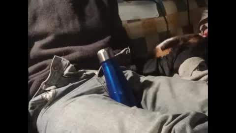 dimoni_ online show from January 7, 3:11 am