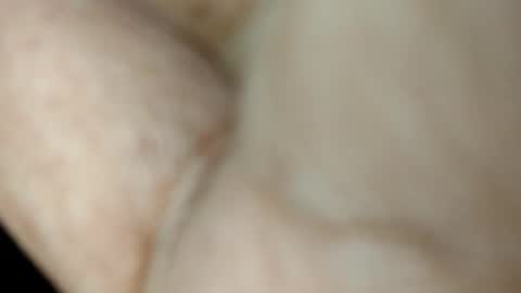 dyno online show from November 17, 12:57 am