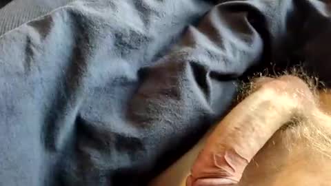 dirkd85 online show from April 15, 10:04 am