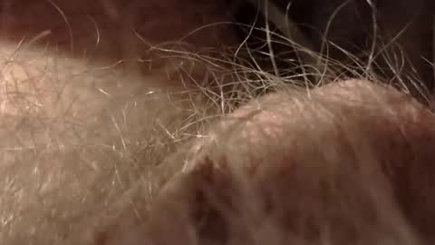 Mmmmgood online show from March 19, 4:05 am