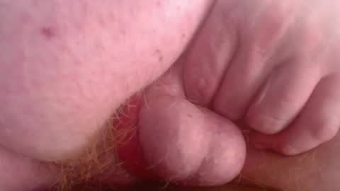 dnjagg01 online show from October 16, 8:00 am