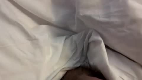 Bigslick online show from February 3, 10:48 pm