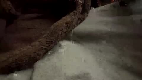 doingmek9 online show from February 20, 11:20 am