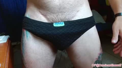 Logan - INDEPENDET MODEL online show from May 27, 5:04 am