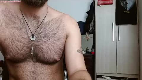 Logan - INDEPENDET MODEL online show from May 21, 2:18 am