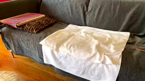 Alfredo online show from February 27, 10:27 am