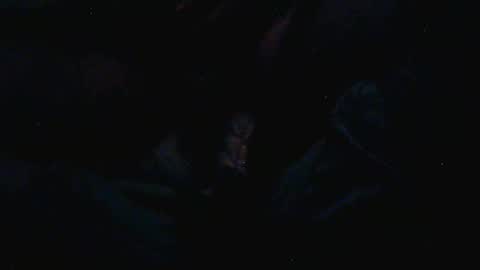 donosus online show from April 26, 8:56 am