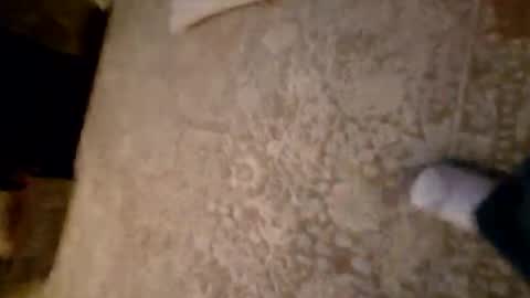 Dooder77 online show from December 27, 2:58 am