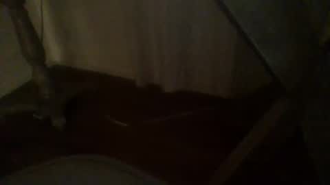 draculaura9200 online show from March 5, 5:36 am