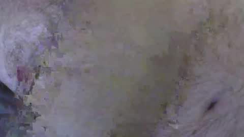 drgk online show from December 18, 9:25 am