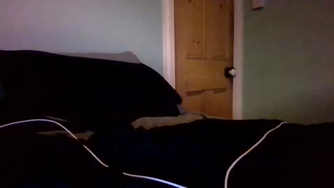 dude106954 online show from April 13, 2:45 am