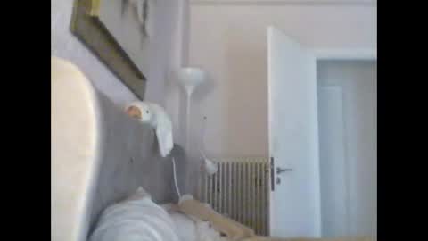 Duma online show from December 20, 6:08 am