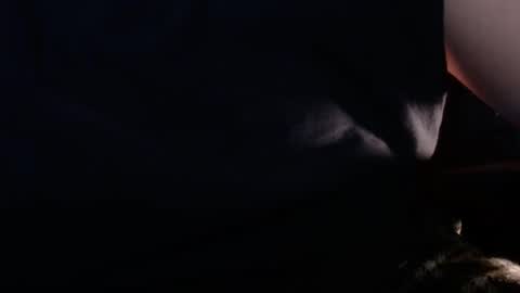 dumbbear24 online show from January 23, 10:22 am