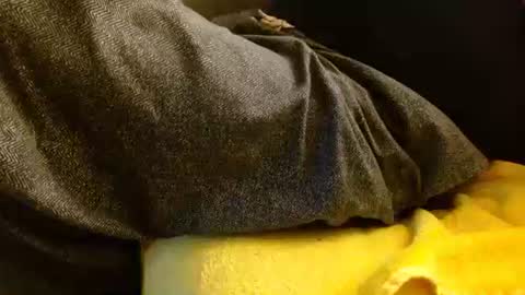 dunany101 online show from February 9, 12:26 am