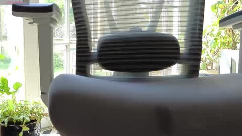 hotdick40 online show from May 18, 1:50 pm