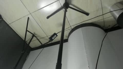 DustynFox online show from February 1, 4:35 am